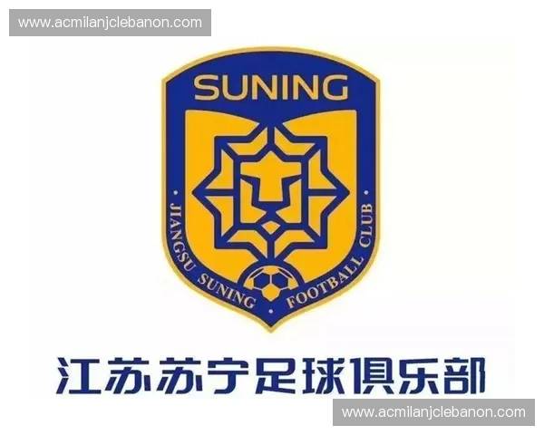 江苏苏宁足球俱乐部重组与未来发展展望解析 江苏苏宁足球俱乐部重组与未来发展展望解析